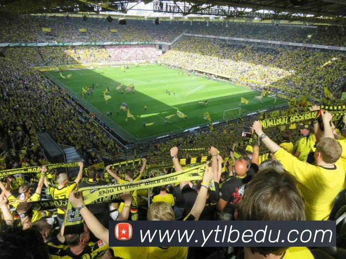 bsports网页版在线登录服务体系